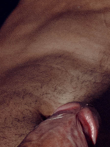 Foto do Acompanhante Fred Mineiro