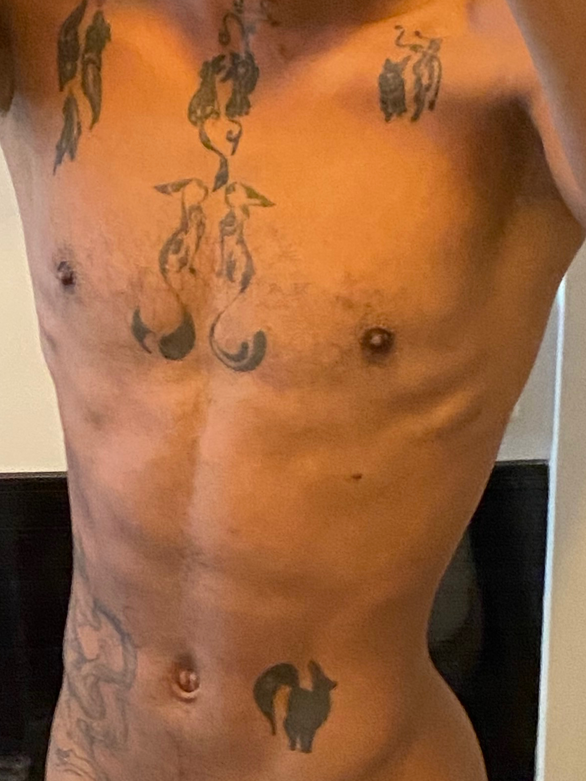 Foto do Acompanhante Invictor